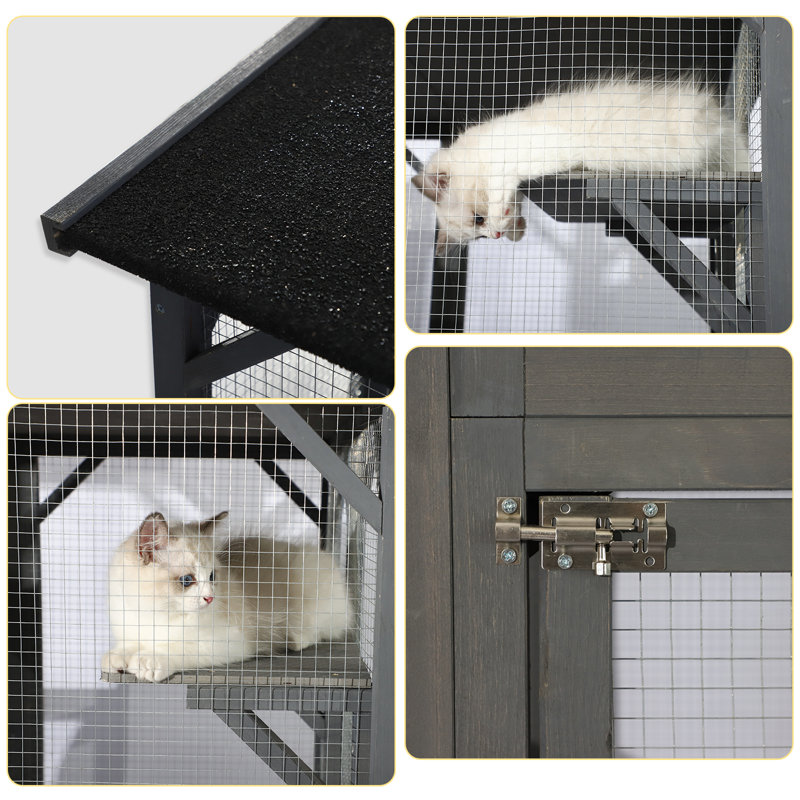 JOVNO Catio Outdoor Cat Playpen & Reviews Wayfair
